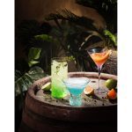 FLUENT MARTINI GLASS, 260 ML - CLEAR - Görsel 3
