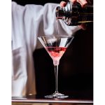 FLUENT MARTINI GLASS, 260 ML - CLEAR - Görsel 2