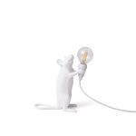 MOUSE LAMP STEP
