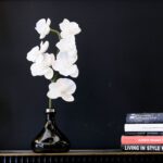 THE ORCHID - WHITE FLOWERS
