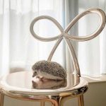 RIBBON CHAIR METAL FINISH - GOLD - Görsel 3
