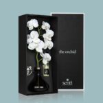 THE ORCHID - WHITE FLOWERS - Görsel 3