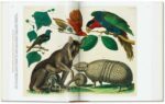 SEBA. CABINET OF NATURAL CURIOSITIES - Görsel 4