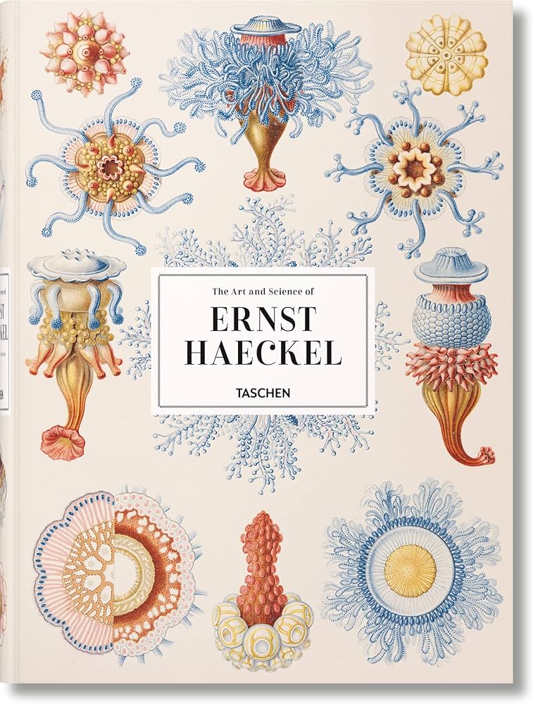 81gYPDbUP-L._AC_UF10001000_QL80_.jpg THE ART AND SCIENCE OF ERNST HAECKEL - Görsel 1