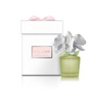 AMETHYST LOVE MINI DIFFUSER WITH LEMON & GREEN TEA FRAGRANCE