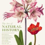 THE ART OF NATURAL HISTORY